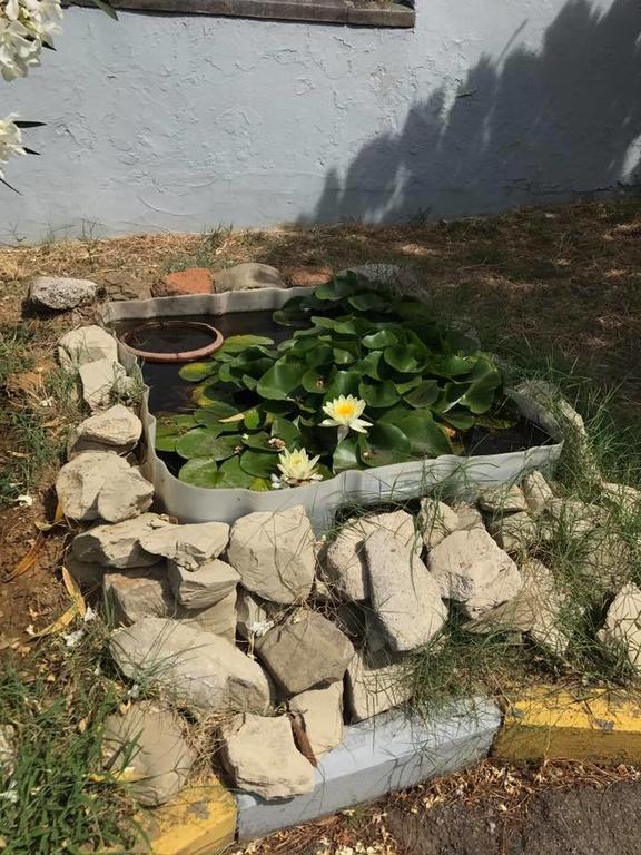 Hotel Ebe San Piero a Sieve Kültér fotó